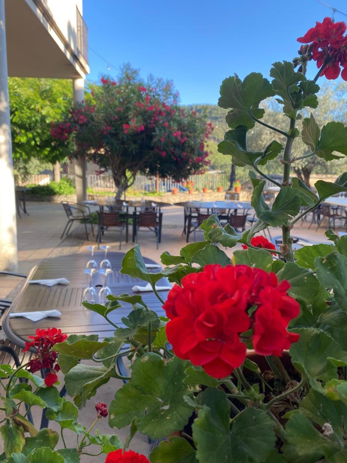Hotel Guara Inluka Las Almunias 외부 사진